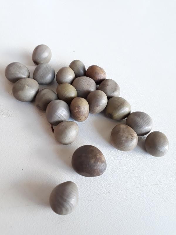 FAVA OXOSSI CINZA - UND