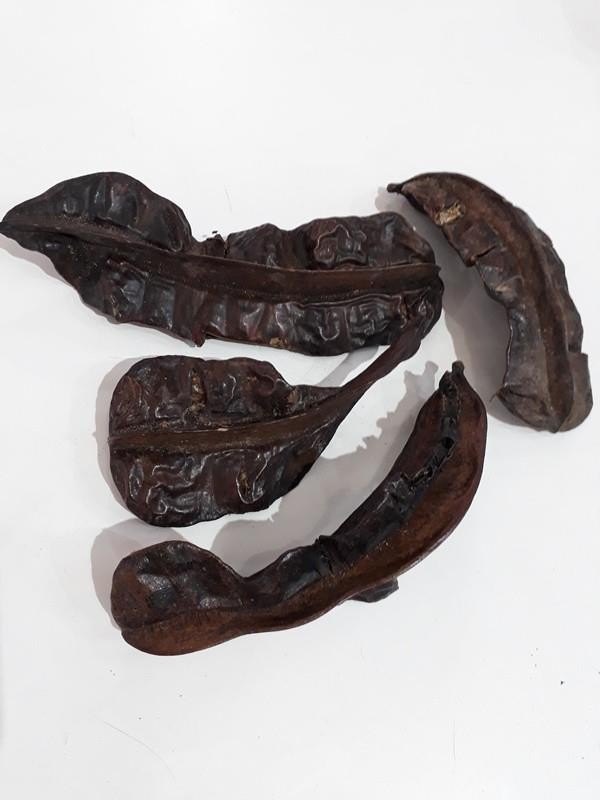 FAVA ARIDAN - UND