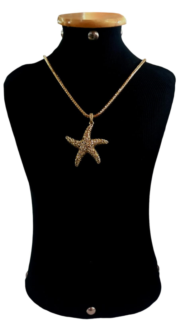 COLAR ESTRELA C/ZIRCONIA - UND