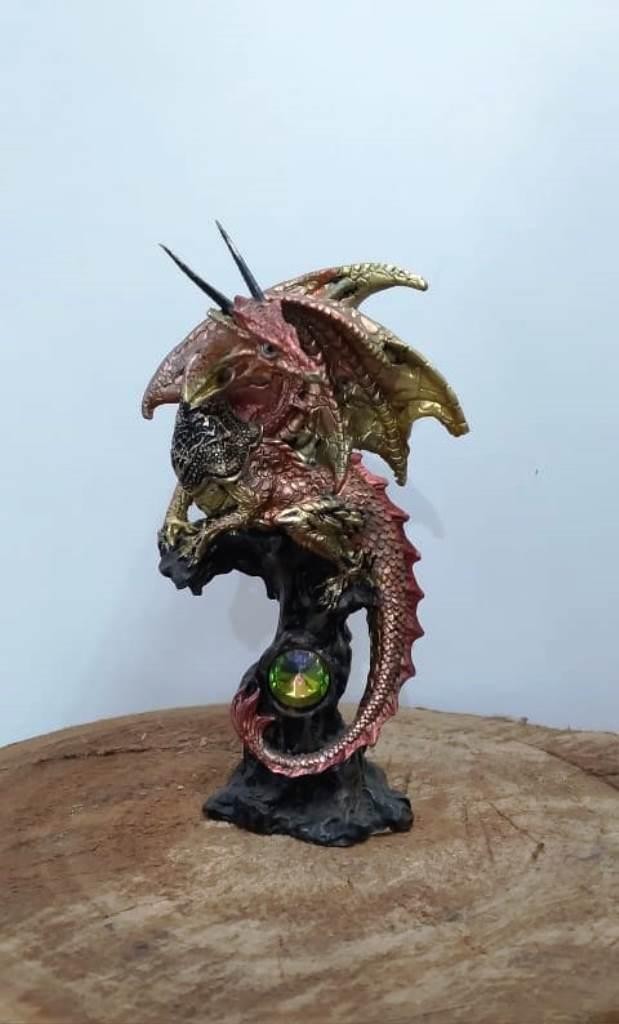 IMAGEM DRAGAO - UND