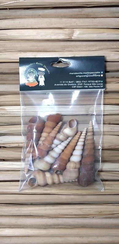 CONCHA TURRITELLA TEREBRA (ESPIRAL) - PCTE