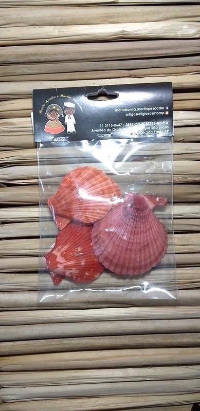 CONCHA PECTEN COLORED (DIVERSAS COLORIDAS) - PCTE