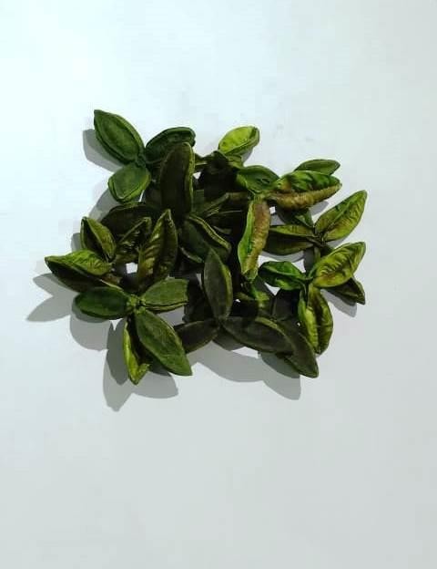 FAVA ABRE CAMINHO 1 - UND
