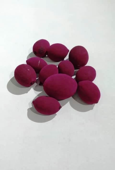 FAVA SEDUCAO - UND