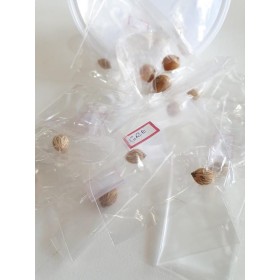 FAVA ERE 1 E 2 - UND