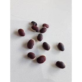 FAVA AMARRACAO - UND