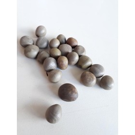 FAVA OXOSSI CINZA - UND