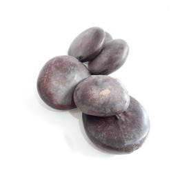 FAVA ALIBE - UND