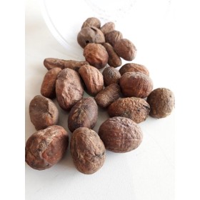 OROBO AFRICANO - UND