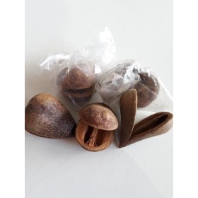 FAVA OPELE - UND