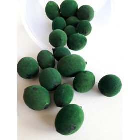 FAVA OXOSSI VERDE - UND