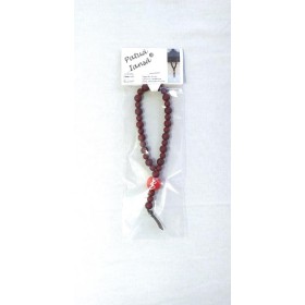 PROTETOR DE CARRO PATUA IANSA - UND