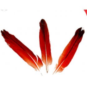 PENA ECODIDE - UND