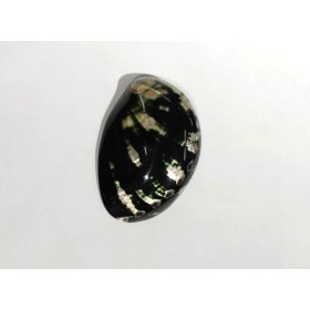 CONCHA ABALONE BLACK 3P - UND