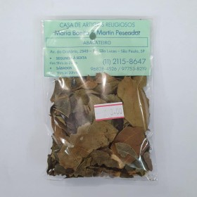 ERVA ABACATEIRO - UND