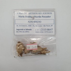 ERVA ALHO MACHO - UND