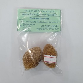 ERVA BUCHINHA DO NORTE - UND