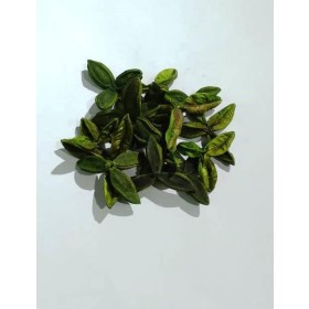 FAVA ABRE CAMINHO 1 - UND